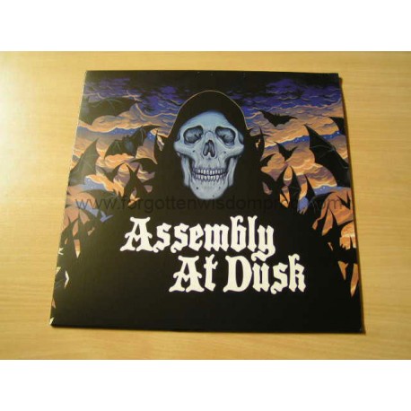 ASSEMBLY AT DUSK "Assembly at Dusk" 12"LP