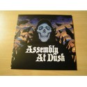 ASSEMBLY AT DUSK "Assembly at Dusk" 12"LP