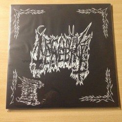 ARCANUS TENEBRAE "Odium in Homines" 12"LP