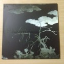 HAKUJA "Legacy" 12"LP