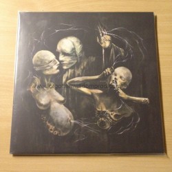 AWE/VACANTFIELD/END split 2x12"LP