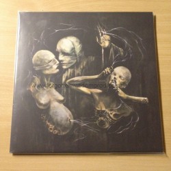 AWE/VACANTFIELD/END split 2x12"LP