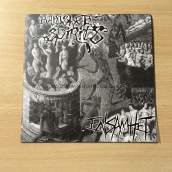 BANISHED SPIRIT/ENSAMHET split 7"EP