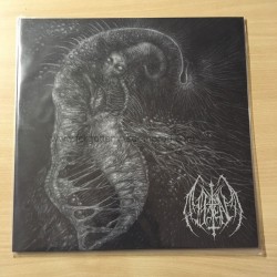 ILL OMEN "Divinity Through Un-creation" 12"LP