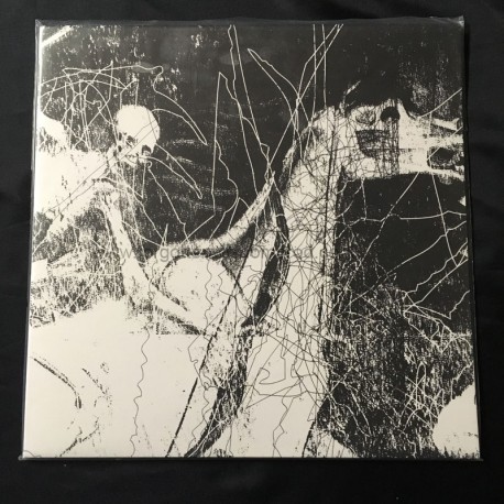 RAVENCULT "Temples of Torment" 12"LP