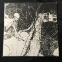 RAVENCULT "Temples of Torment" 12"LP