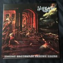 ENCOFFINATION "Ritual Ascension Beyond Flesh" 12"LP