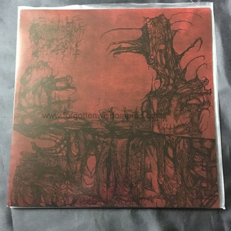 PROSANCTUS INFERI "Red Streams of Flesh" 12"MLP