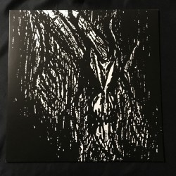 VLAD TEPES "Morte Lune" 12"LP