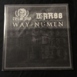 DIVISION TRIAD/WAR 88 split 12"LP