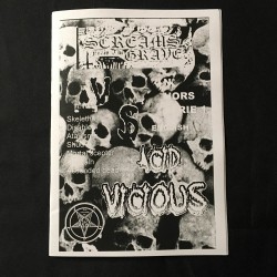 ACID VICIOUS Zine hors série 1