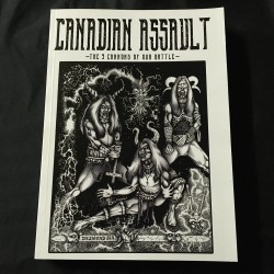 CANADIAN ASSAULT “The 9 cannons of our battle” book