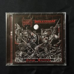 MAZE OF TERROR/WOLFSTORM split CD